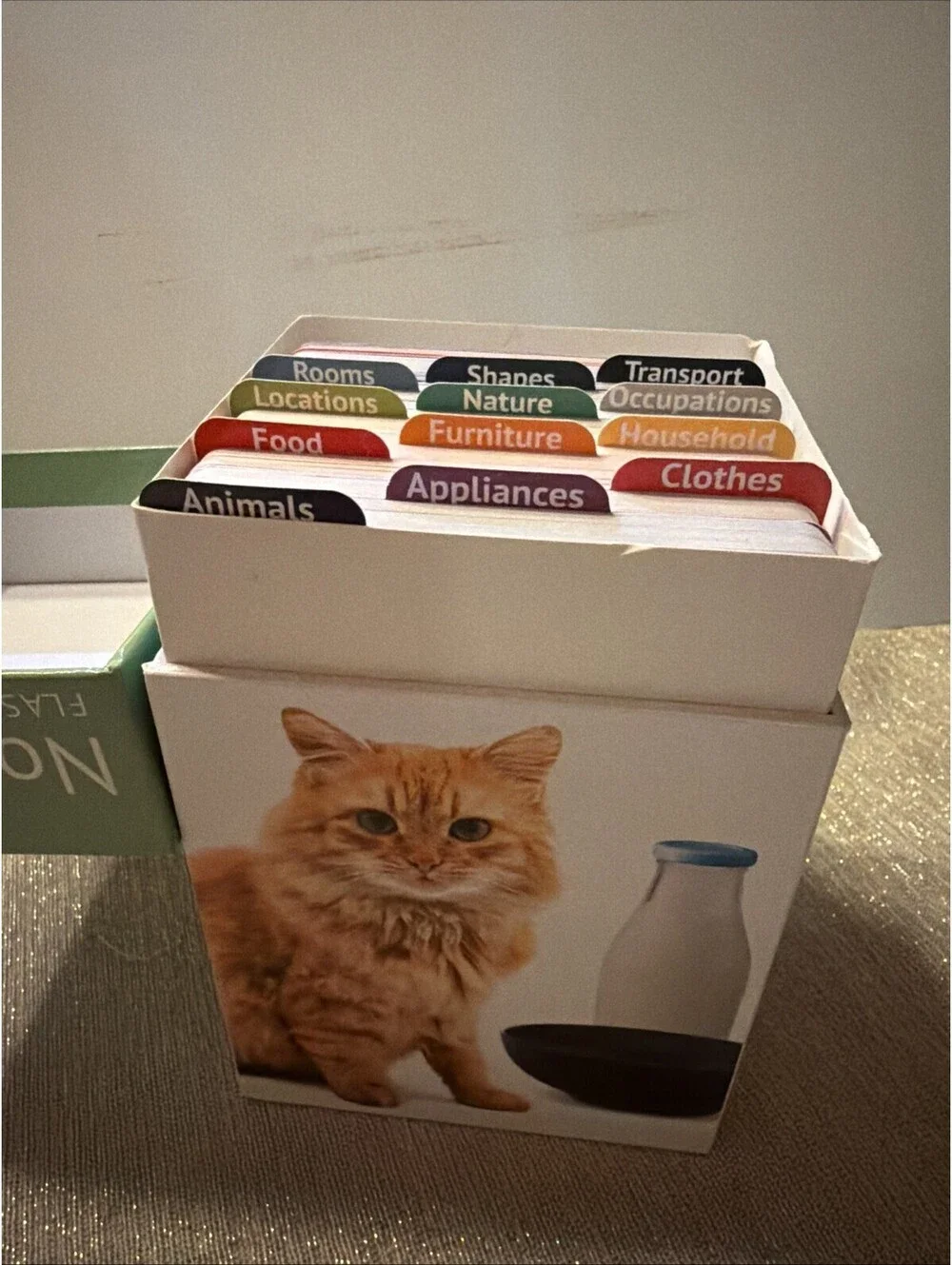 Nouns Flash Cards | 200 Language Photo Cards | Speech Therapy and ESL Materials